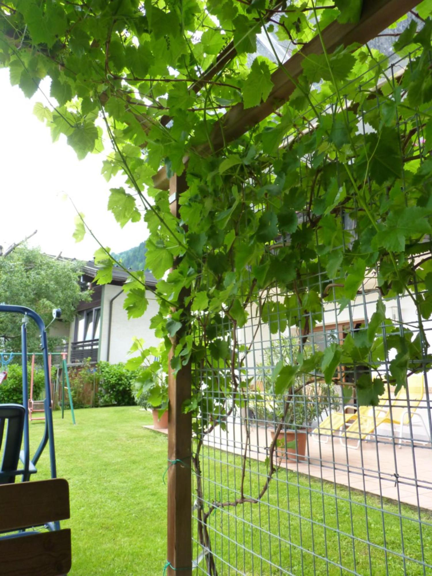 Appartements Winkler Annenheim Esterno foto